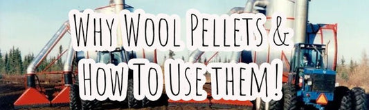 The How and Why of Using Wool Pellets - EcoWool Canada
