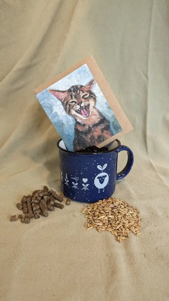EcoWool Pellet Cat grass kit with ceramic mug and wildflower seed card with cat on it