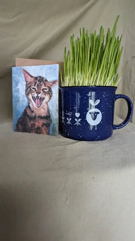 EcoWool Pellet Cat grass kit with ceramic mug and wildflower seed card with cat on it