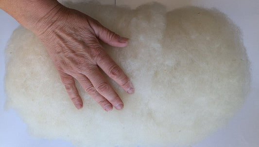 Carded batt with hand on it to show size