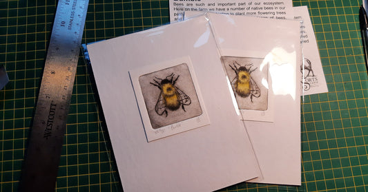 Intaglio Print - Bumble