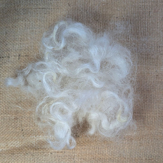 Border Leicester Valais Blacknose cross wool