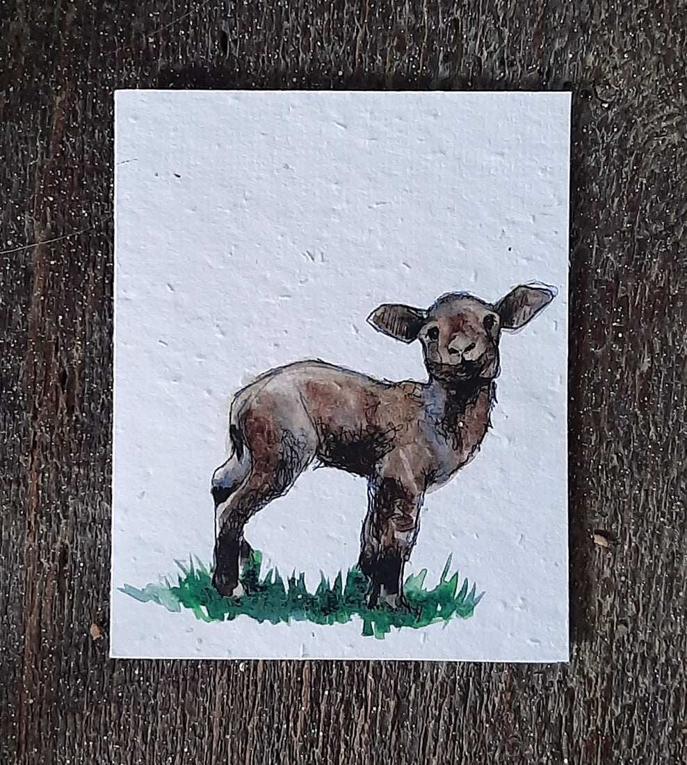 Wildflower Seed Greeting Card - Brown Lamb