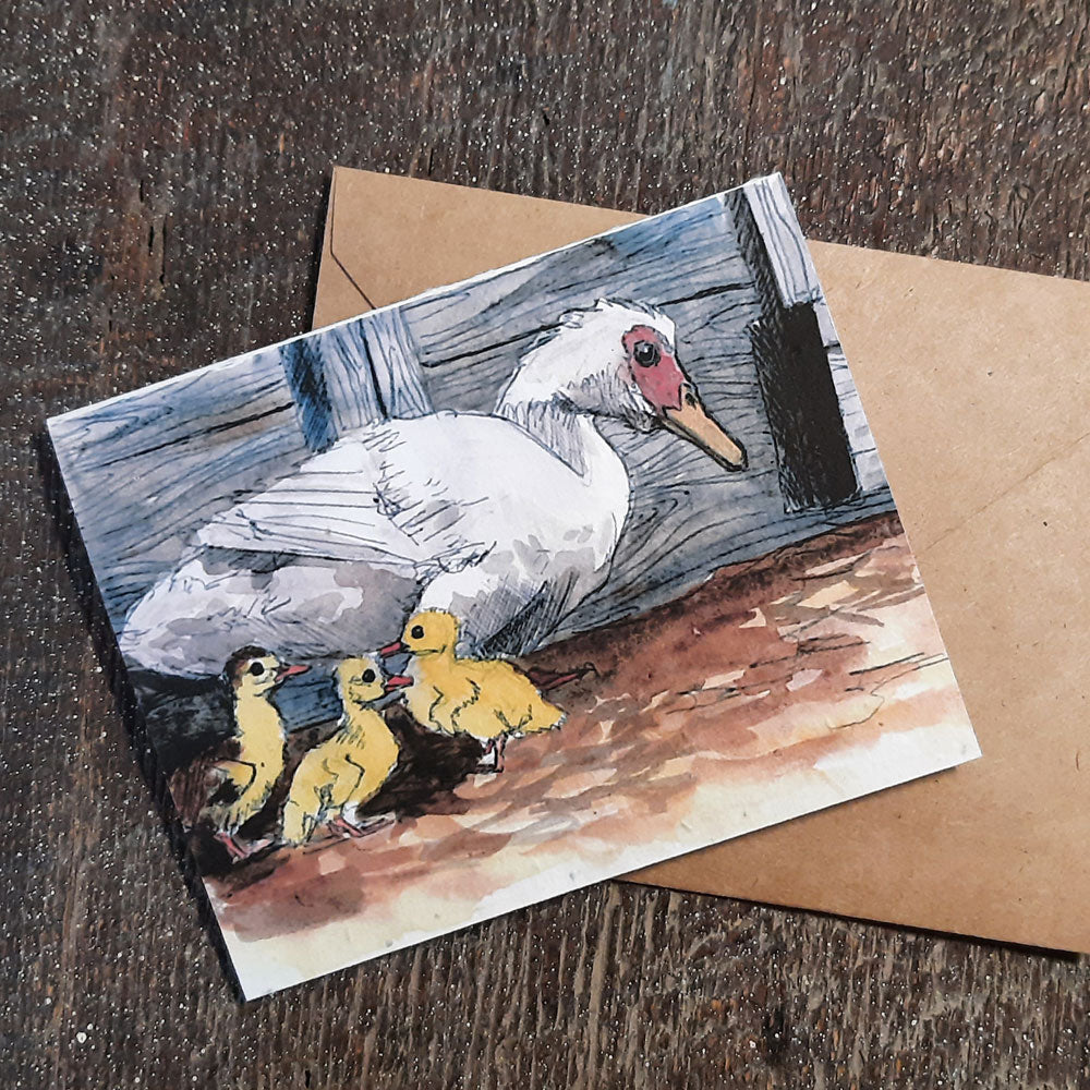 Wildflower Seed Greeting Card - Muscovy Ducklings