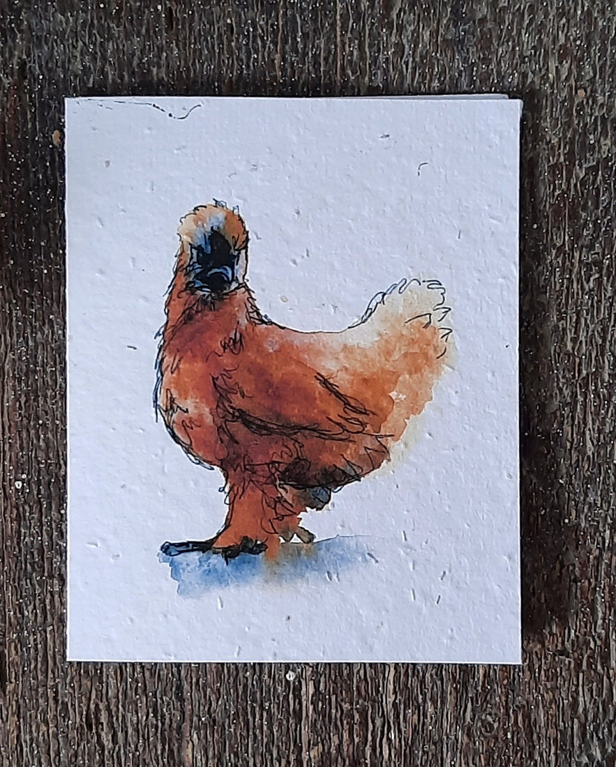 Wildflower Seed Greeting Card - Silkie Hen