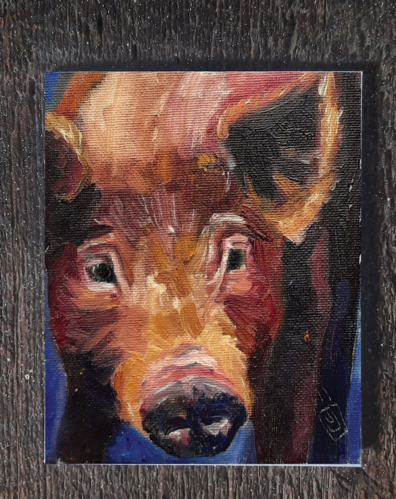Wildflower Seed Greeting Card - Tamworth Pig