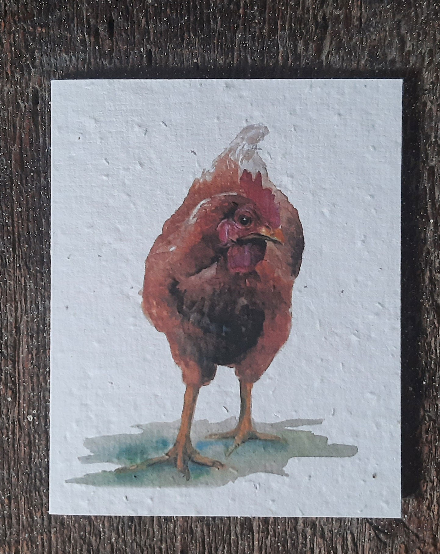 wildflower seed card farm artwork chicken backyard homesteading