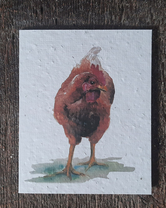 wildflower seed card farm artwork chicken backyard homesteading