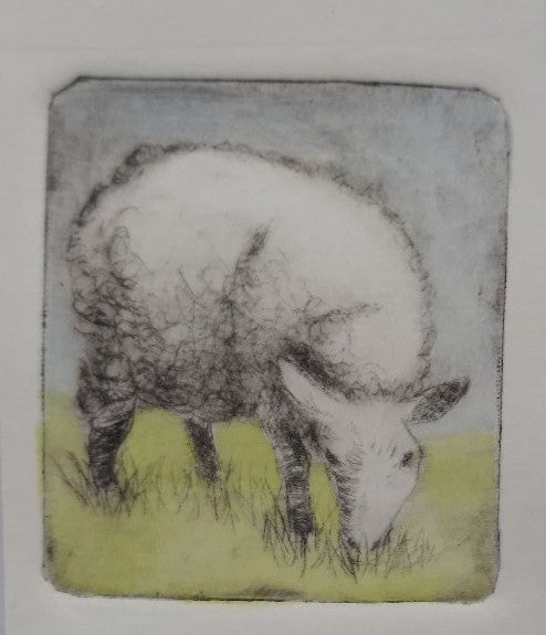 Intaglio Print - Border Leicester