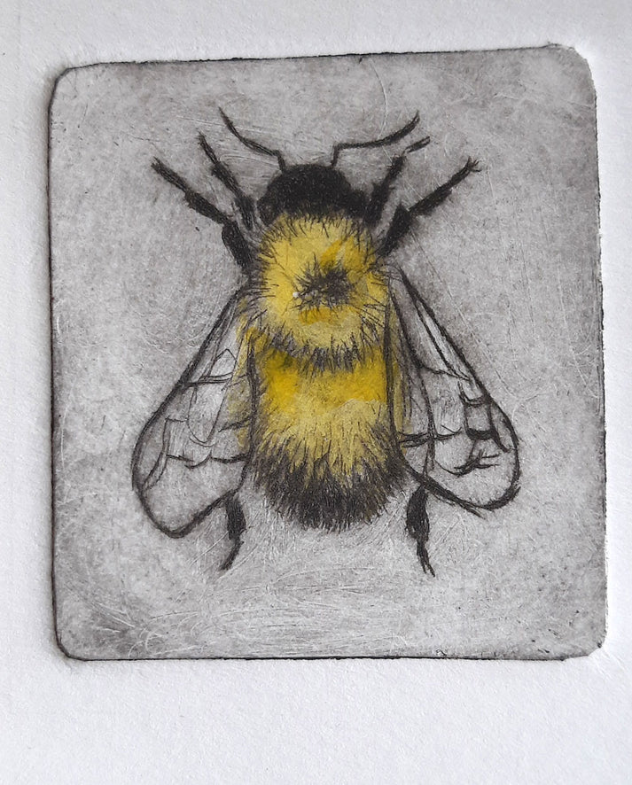 Intaglio Print - Bumble