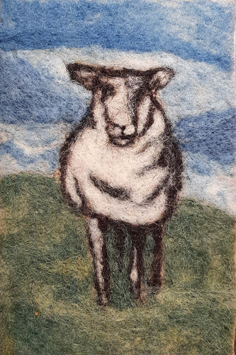 Needle Felting Kit- Sheep