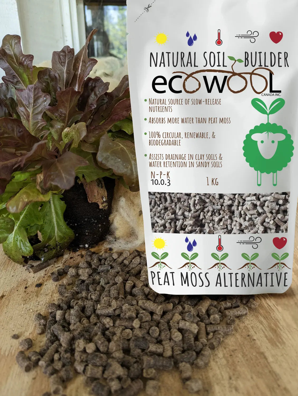 EcoWool Fertilizer Pellets 1kg bag in front of lettuce plant