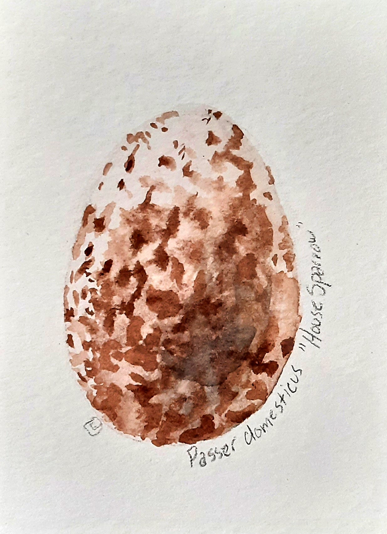 Raven Egg #2- Mini Painting