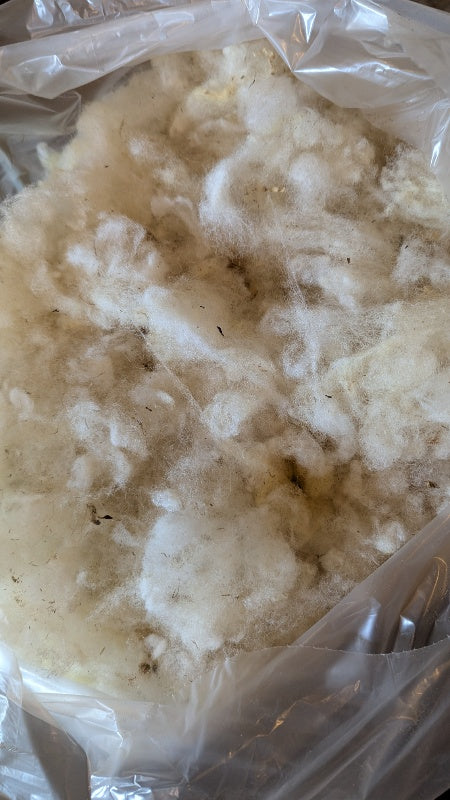 Washed and Picked Wool-stuffing