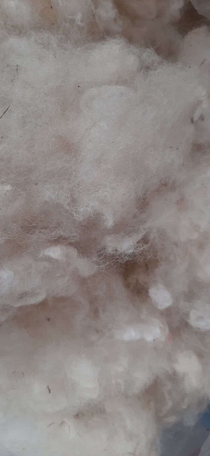 washed and picked wool stuffing