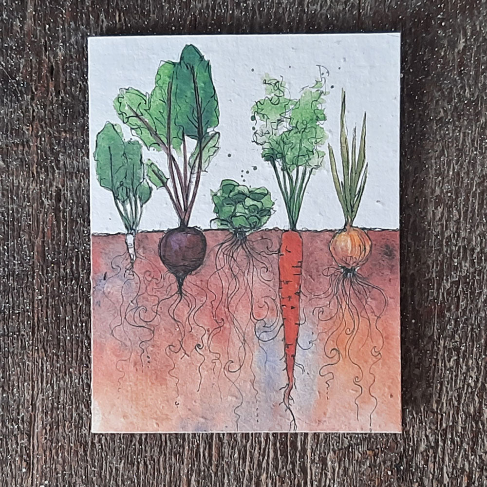 wildflower seed card farm artwork mycelium gardening