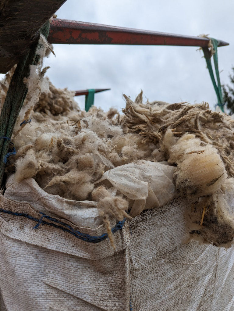 A History of Wool EcoWool Canada