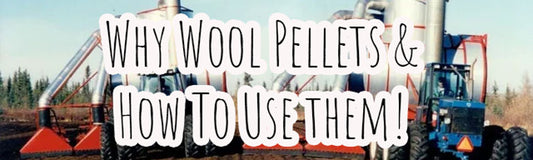 The How and Why of Using Wool Pellets