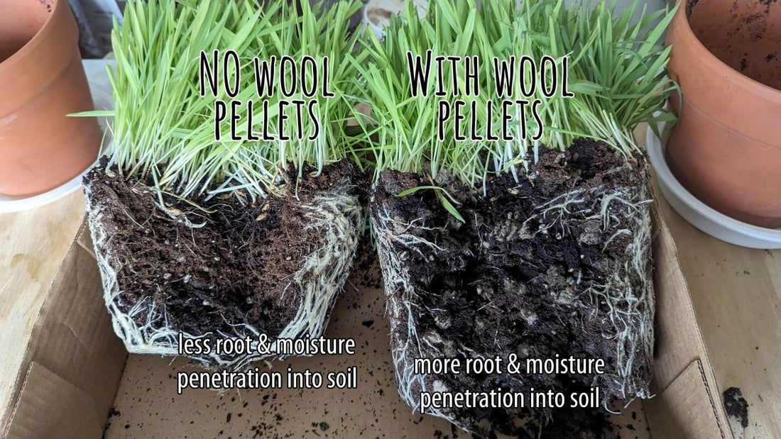 Help EcoWool divert more wool from landfill, burned or dumped! - EcoWool Canada