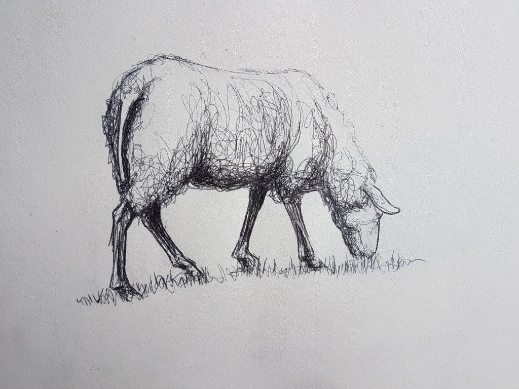 Drawing