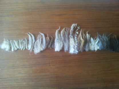 Carding 101- how to get the best out of your fibre at home