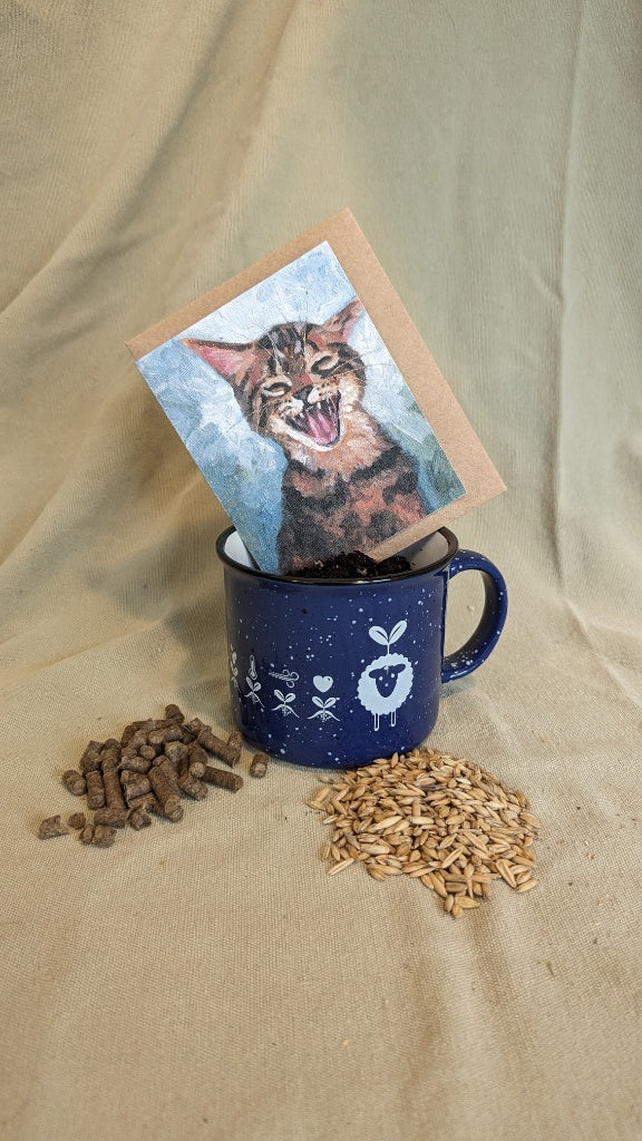 Cat Grass Gift Set with Seed Paper Greeting Card