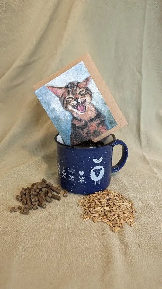 EcoWool Pellet Cat grass kit with ceramic mug and wildflower seed card with cat on it