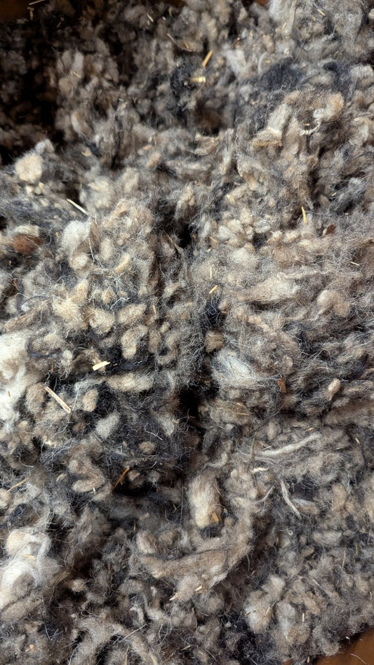 Shredded Wool 1kg - natural garden enrichment