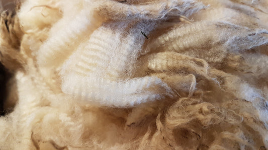 Skirting Fleece- how to skirt, sort, and prep your fibre for processing.