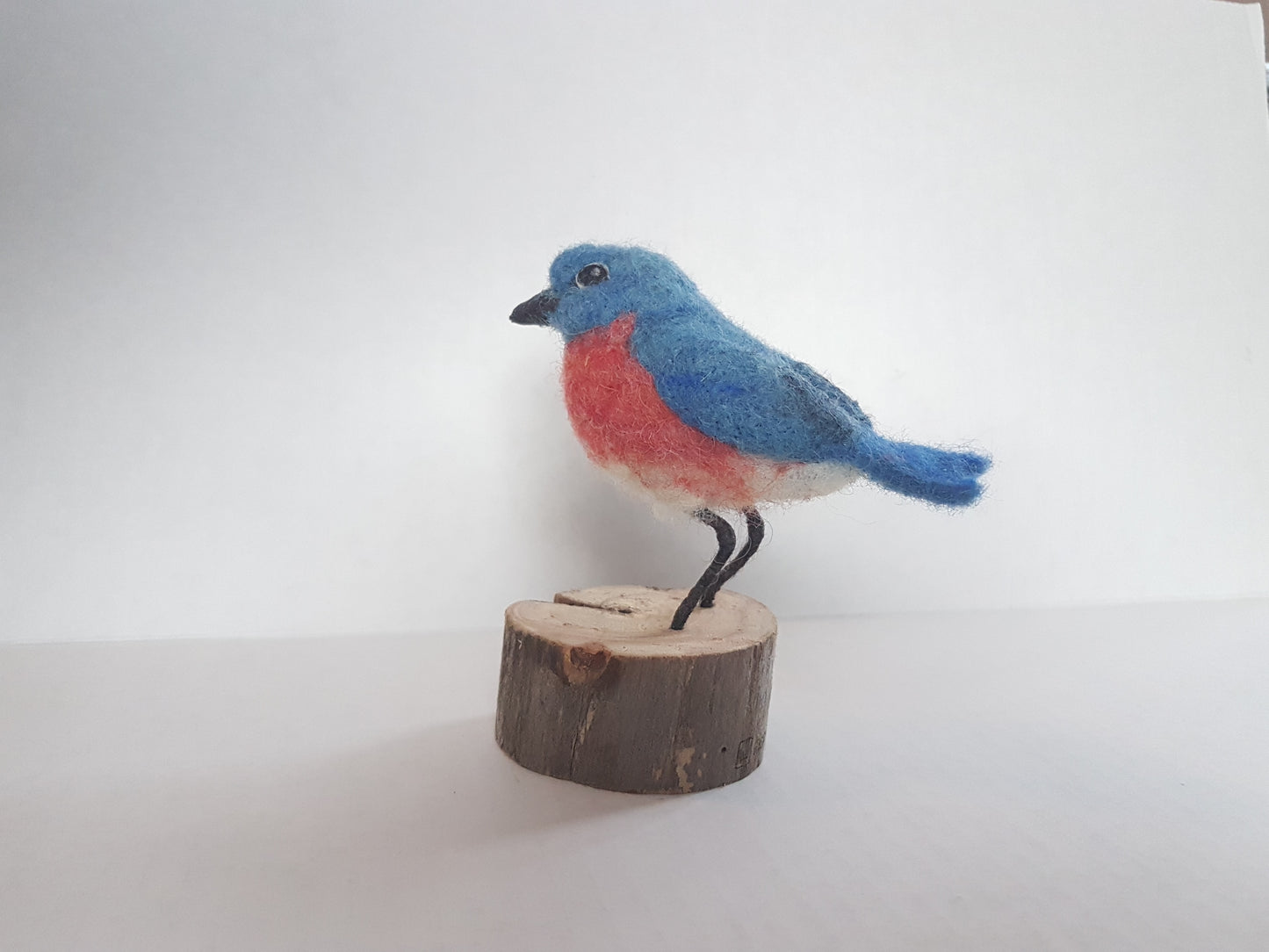 Introduction to Needle Felting an Bird- 2 hour workshop