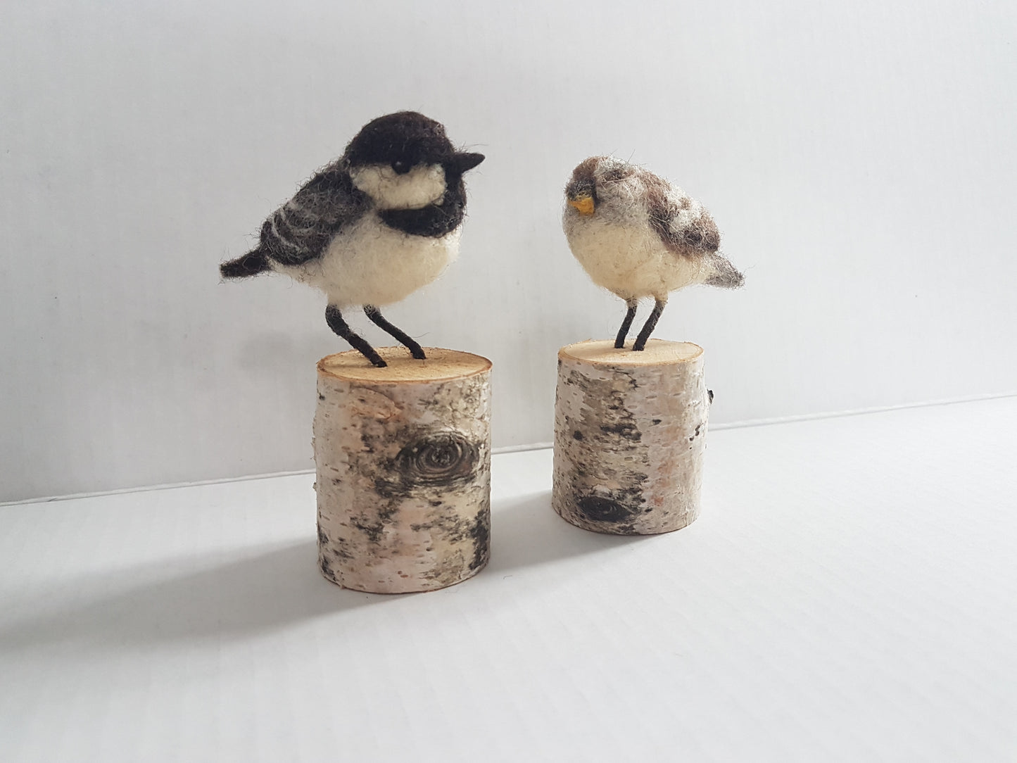 Introduction to Needle Felting an Bird- 2 hour workshop
