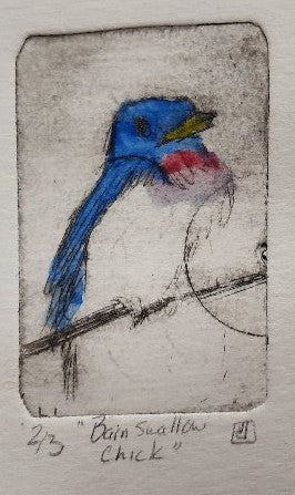 Intaglio Print - Barn Swallow chick