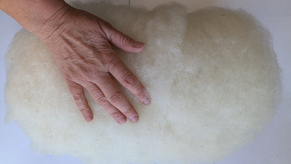 Carded batt with hand on it to show size