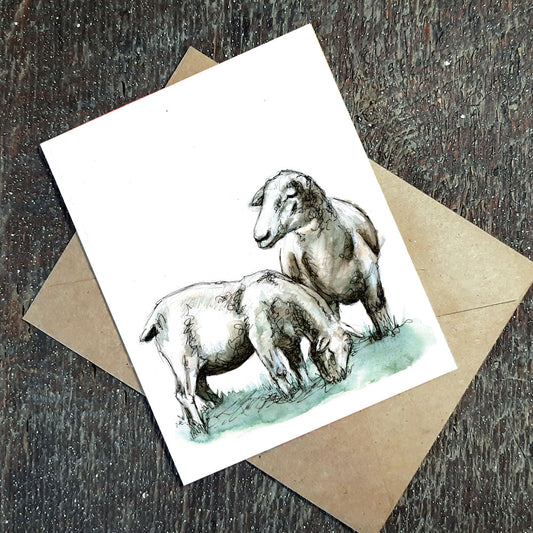 Canadian Arcott Sheep - Plantable seed paper cards