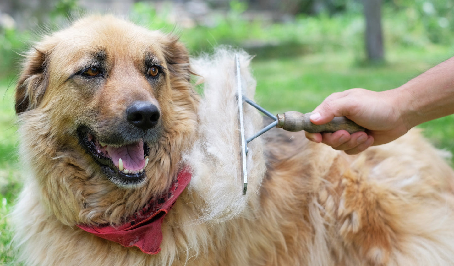 Custom yarn spinning-cat and dog hair