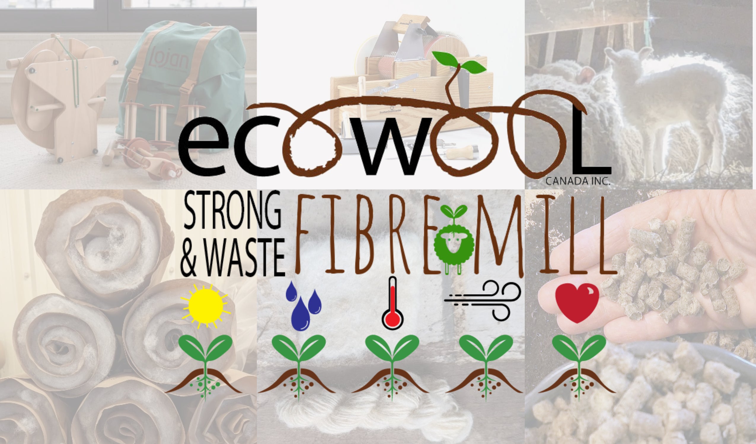 EcoWool Canada from our sheep to your soil