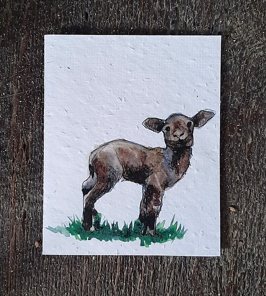 Wildflower Seed Greeting Card - Brown Lamb