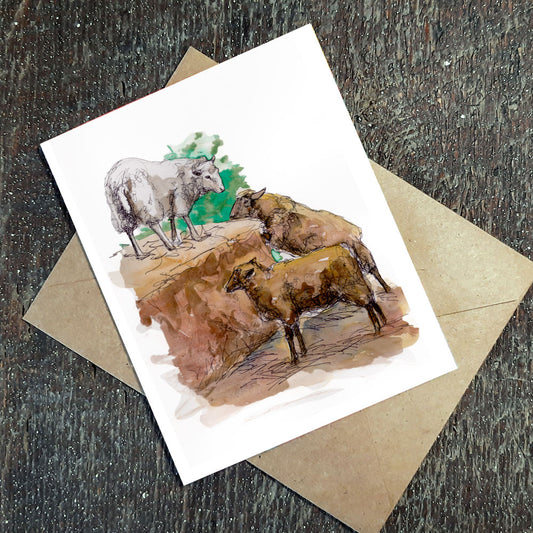 Wildflower Seed Greeting Card - Lambs playing on a hay bale