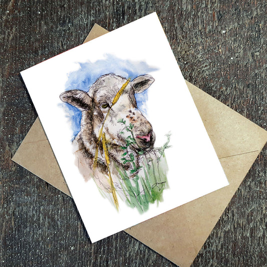 Wildflower Seed Greeting Card - Neville