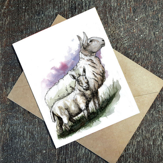 Wildflower Seed Greeting Card - SHEEP_North County Cheviot