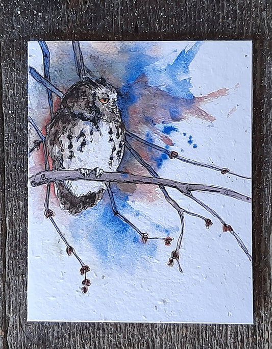 Wildflower Seed Greeting Card - Screech Owl