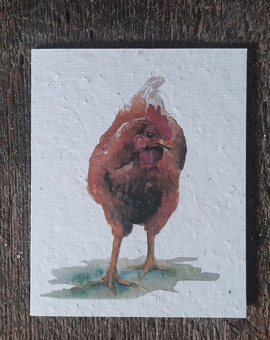 Barnyard Hen - Plantable seed paper cards