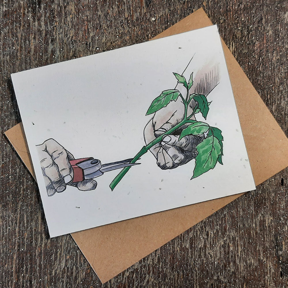 Tending and Grafting - Plantable seed paper cards