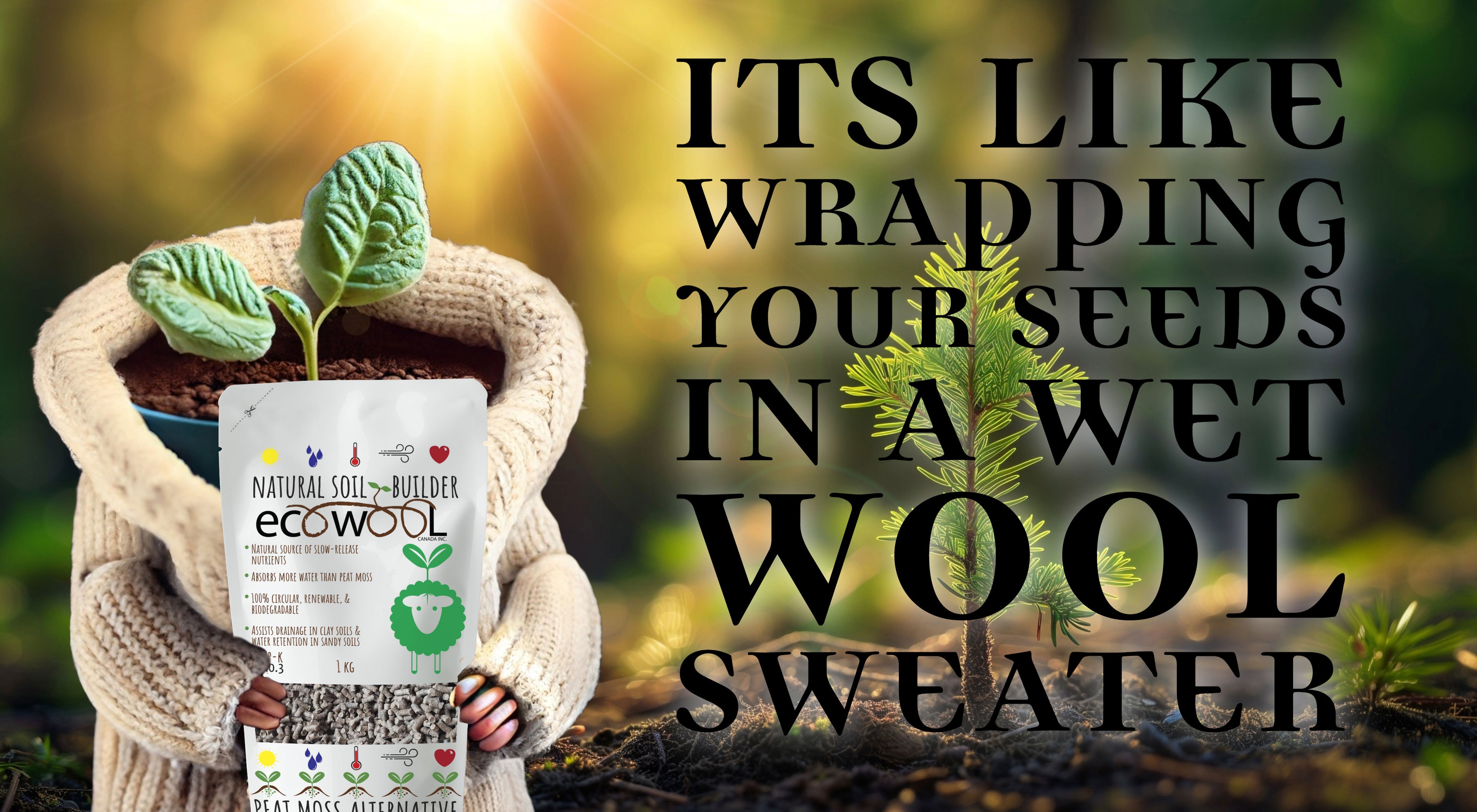 EcoWool Canada from our sheep to your soil