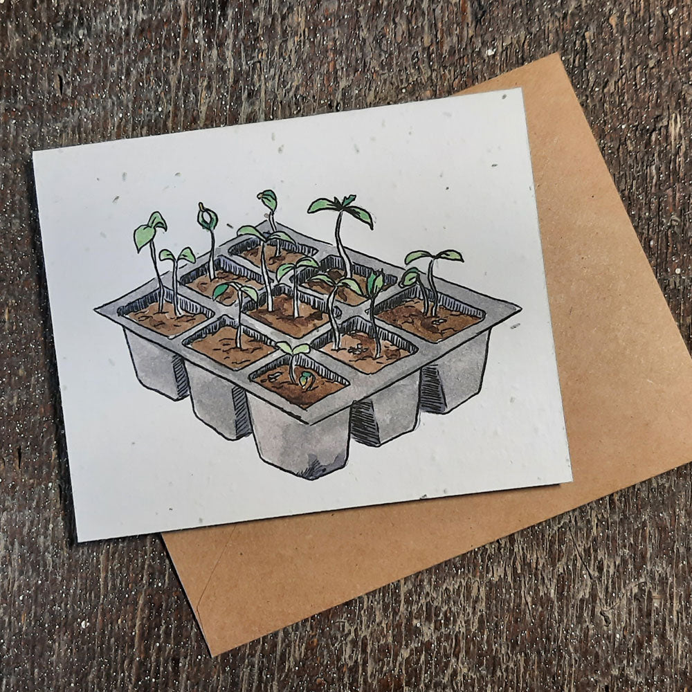 Spring Seeds - Plantable seed paper cards