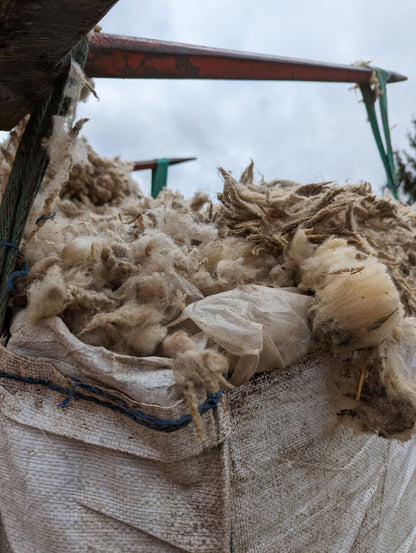 A History of Wool EcoWool Canada
