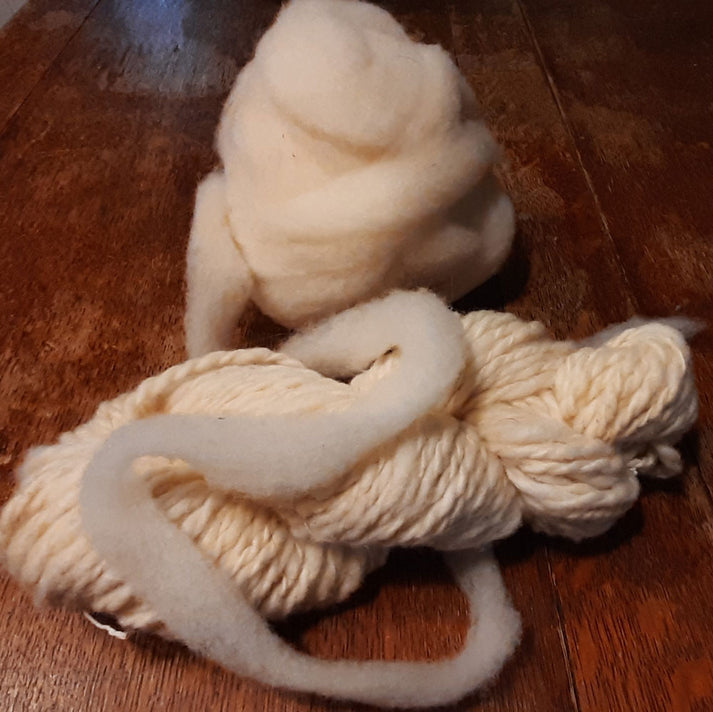 White roving ready for handspinning